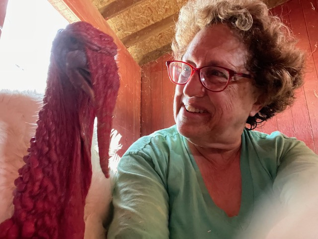 Professor Tischler and Pistachio, one of her turkey boyfriends at Animal Place sanctuary.