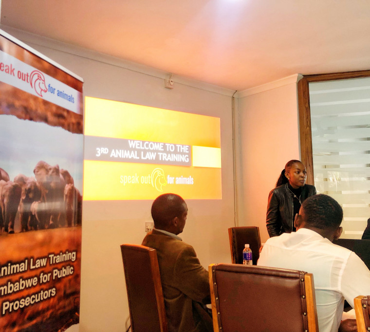 Ever Vimbai Chinoda, the founder and executive director of SOFA, opens the third Animal Law Training for Prosecutors