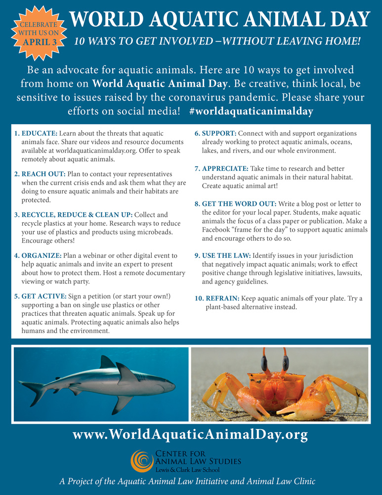 World Aquatic Animal Day -Center for Animal Law Studies - Lewis & Clark