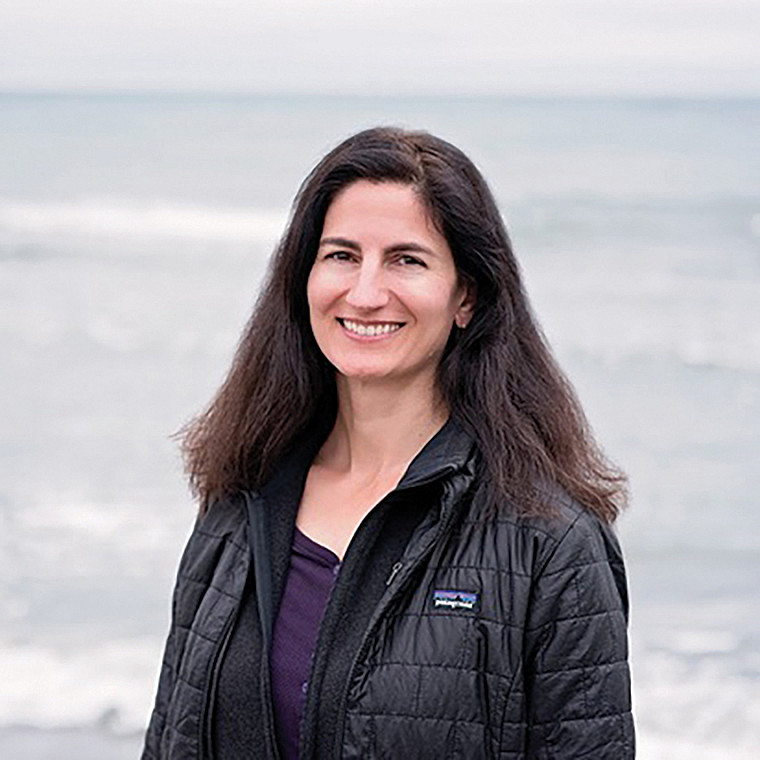 Janis Searles Jones '95