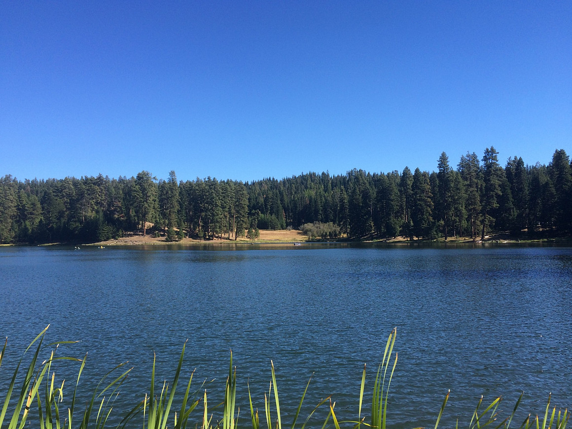Walton Lake, a popular recreation site would look dramatically different if the proposed logging had gone through.