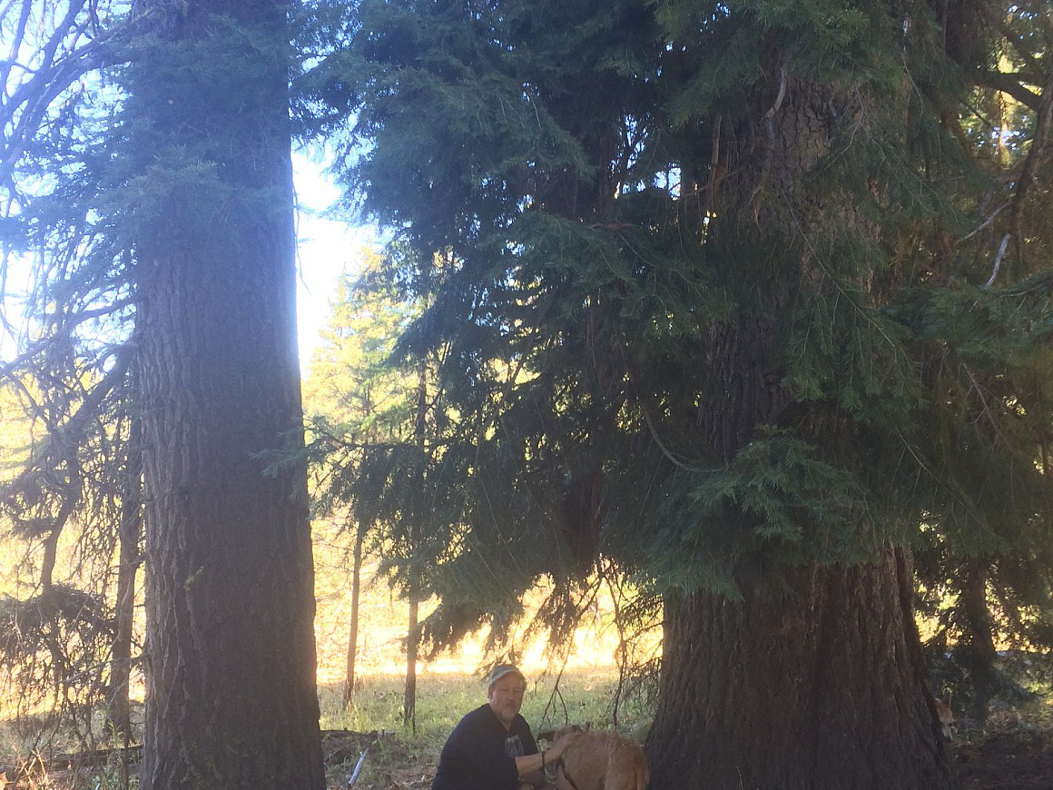 Tom and Annie next to some old growth firs.