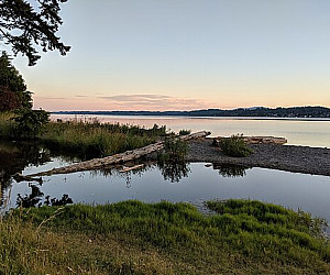 View of Budd Inlet from Burfoot Park