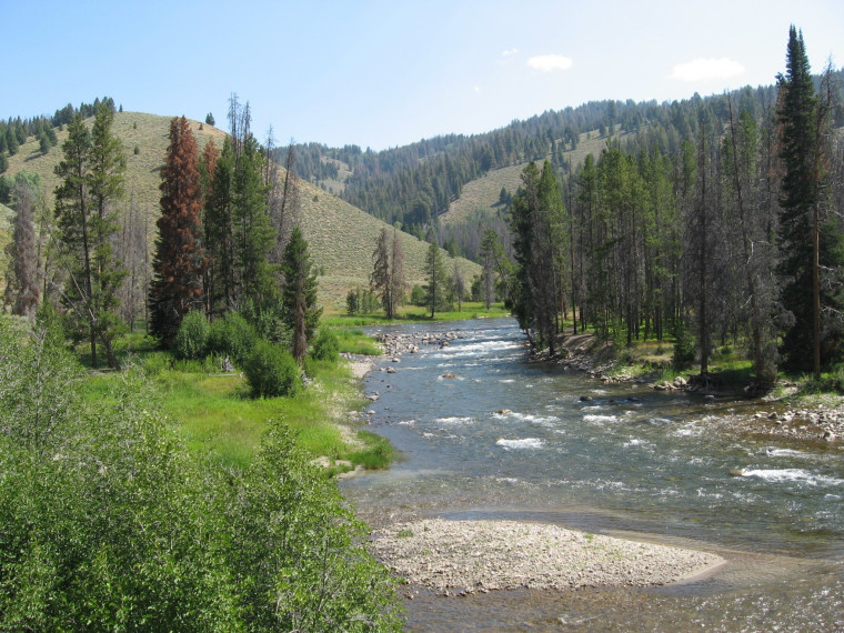 Salmon River in Idaho. A new court order requires EPA to set better arsenic standards for the state's waterways.