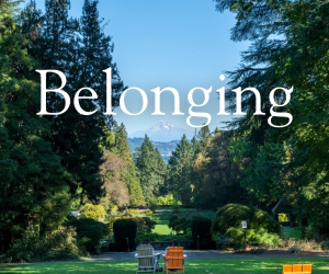 Belonging Thumbnail