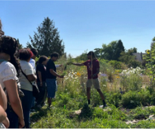 Black Futures Farm 2024 experience from the HWI project.