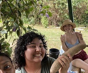 Three students pose with a tuber harvested in Puerto Rico.