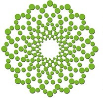 Green Energy Institute (GEI) logo