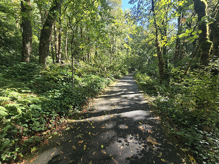A winding trail through Tryon State Park, adjacent to Lewis & Clark.