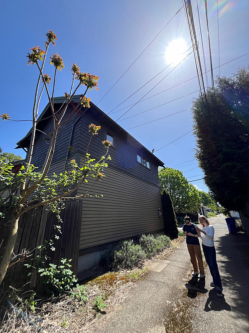 ENVS 400 students adding Tree of Heaven to iNaturalist