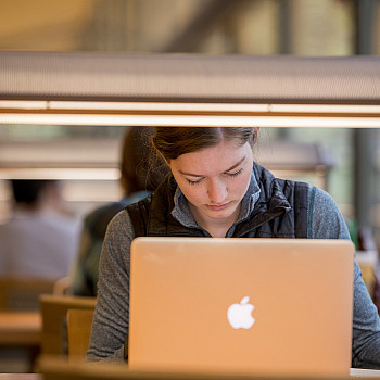 Law student studying in Boley Library.