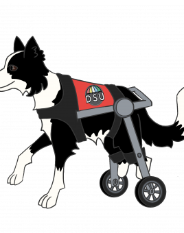 DSU Dog Logo