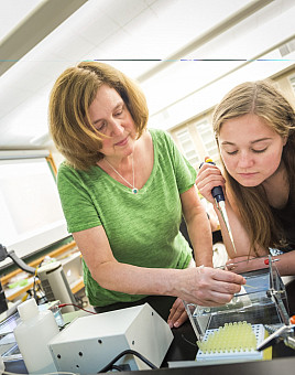 A teacher helps a student