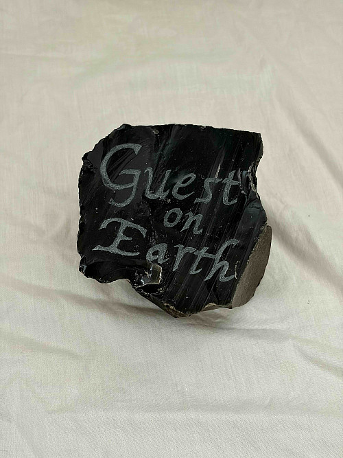 Guest on Earth