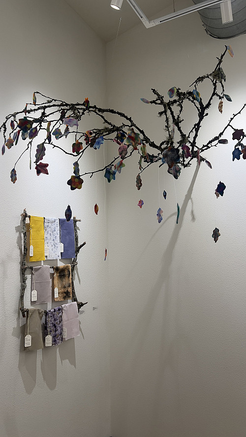 The Wood Wide Web and Beauty in Nature's Bounty