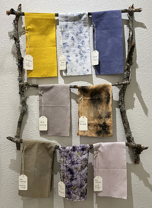 Beauty in Nature's Bounty