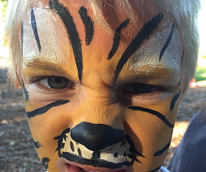 Photo of a child with tiger face paint.