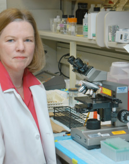 Susan B. Olson, Center for Community and Global Health Advisory Board