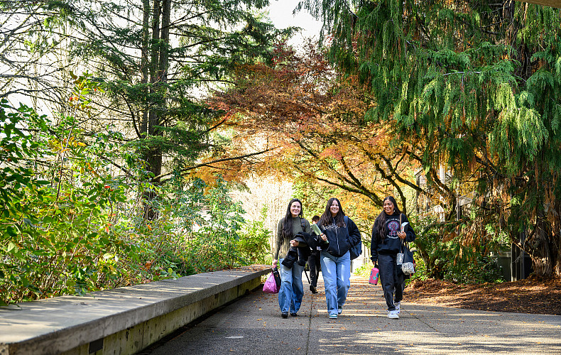 Students walk along a main path on campus.