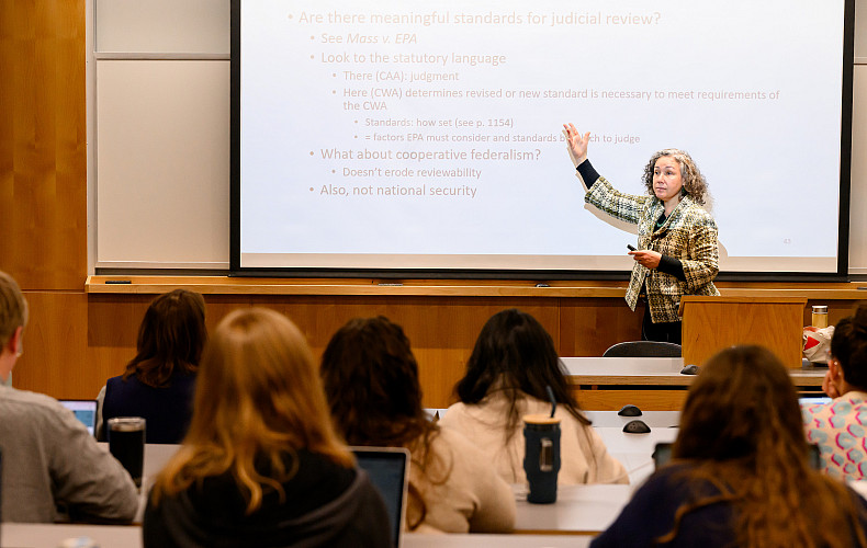 Our expert faculty are your expert mentors.