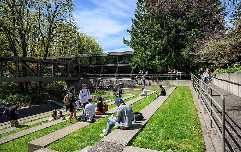 The amphitheatre provides a central area to relax, study and play.