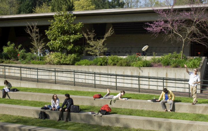 The amphitheatre provides a central area to relax, study and play.