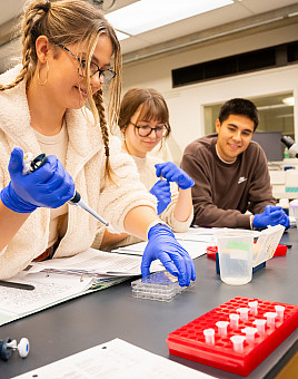Students in Professor Sharon Torigoe's lab.
