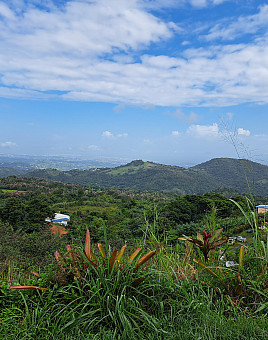 Center for Social Change and Community Involvement service learning trips, May 2024
