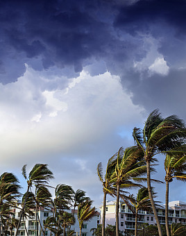 Rachel Young BA '11 published research on the long-term health impact of tropical cyclones in Nature, which was picked up by multiple pub...