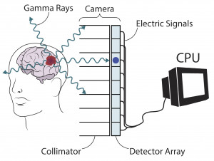 Illustration (based on the sketch above) by Cyan Cowap showing the use of gamma rays to visualize...
