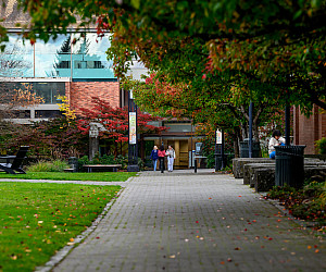 Each of the new minors helps prepare students for a wide range of paths after graduation.