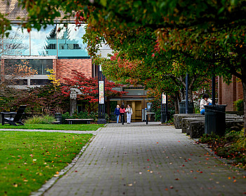 Each of the new minors helps prepare students for a wide range of paths after graduation.