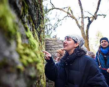 Lewis & Clark's annual Moss Appreciation Week is produced by the student-run Natural History Club.