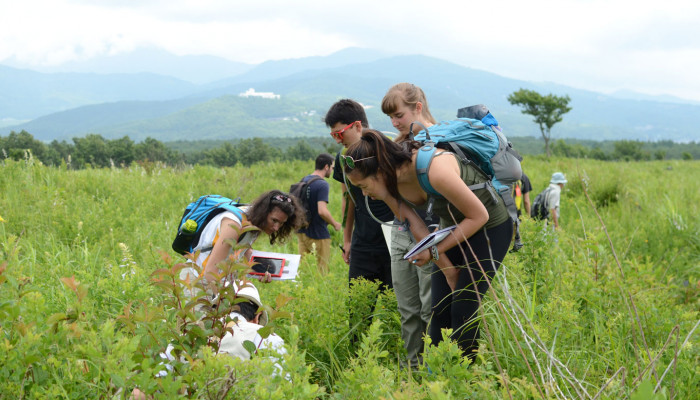 Students and faculty study Mount Fuji on interdisciplinary summer program