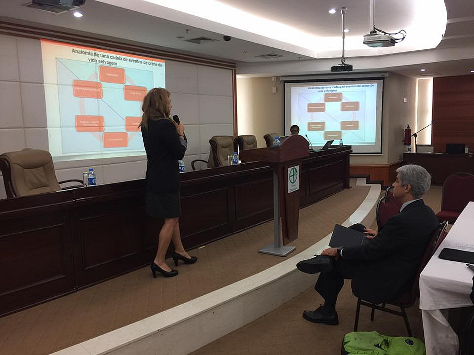 Professor Erica Lyman