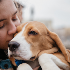 Fetch Pet Insurance