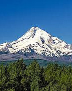 Mt. Hood