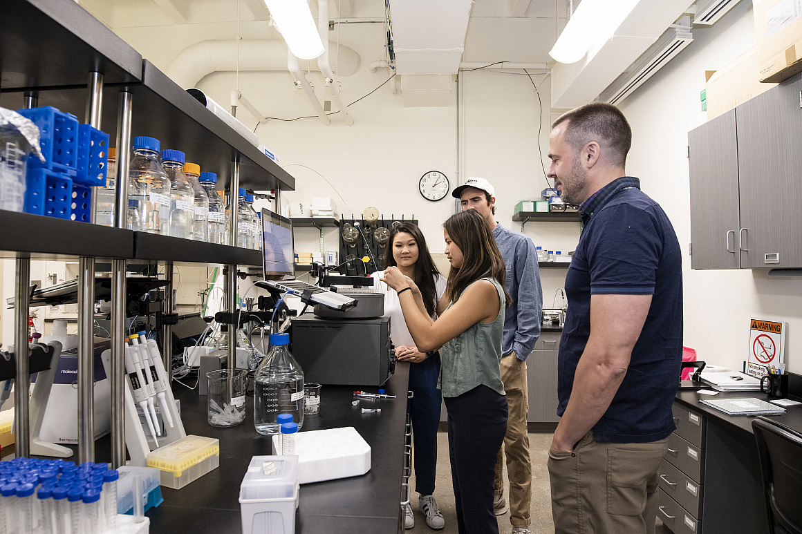 Students work in a Chemistry lab at Lewis & Clark.