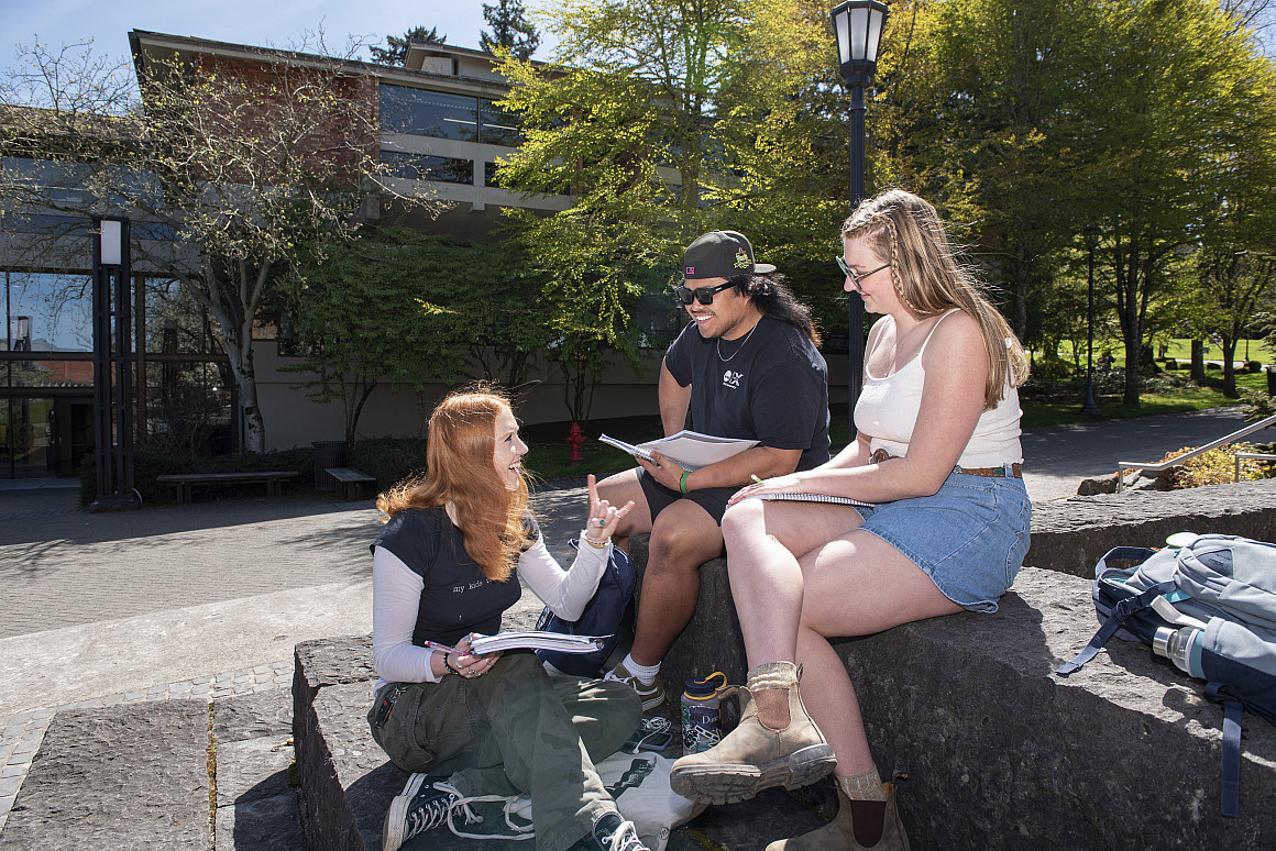 Three students studying outside.