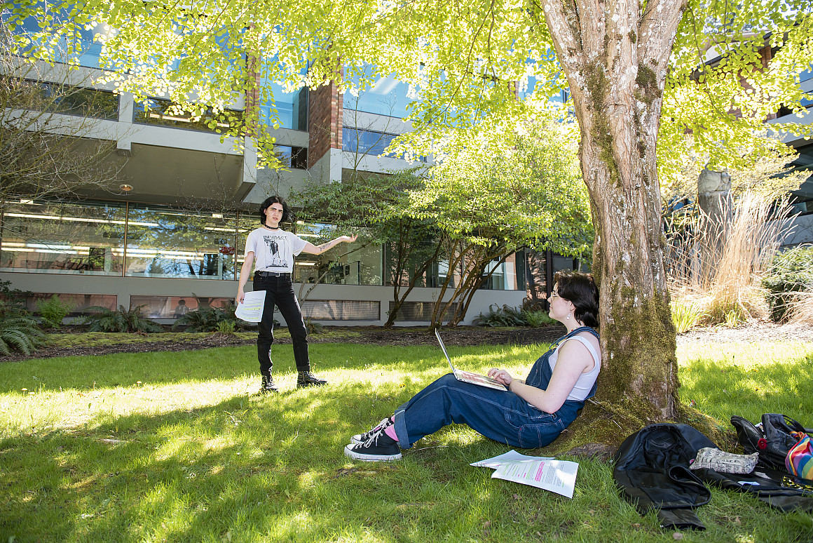 Students study outside under a tree.