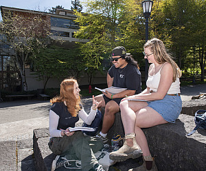 Three students studying outside.