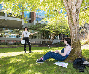 Students study outside under a tree.
