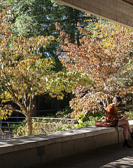 Fall at the law campus